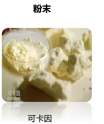 2025新澳门资料免费大全