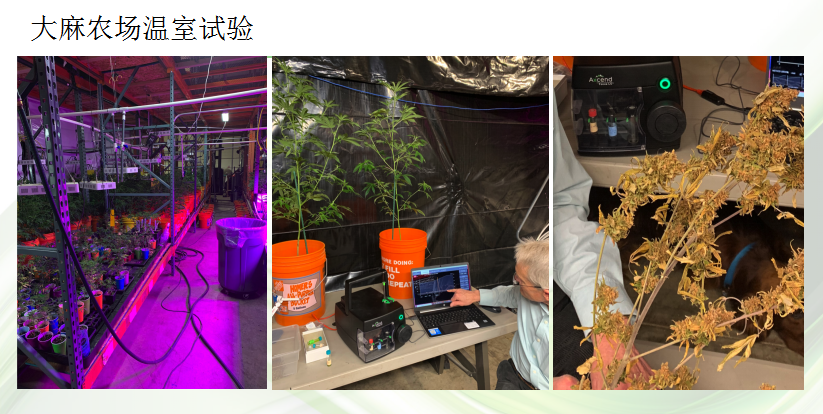 2025新澳门资料免费大全