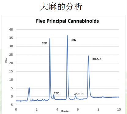 2025新澳门资料免费大全