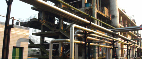 2025新澳门资料免费大全