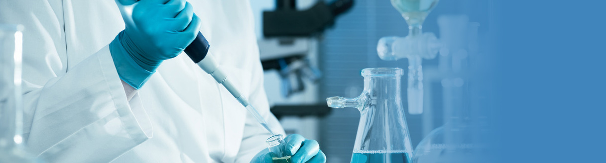 2025新澳门资料免费大全