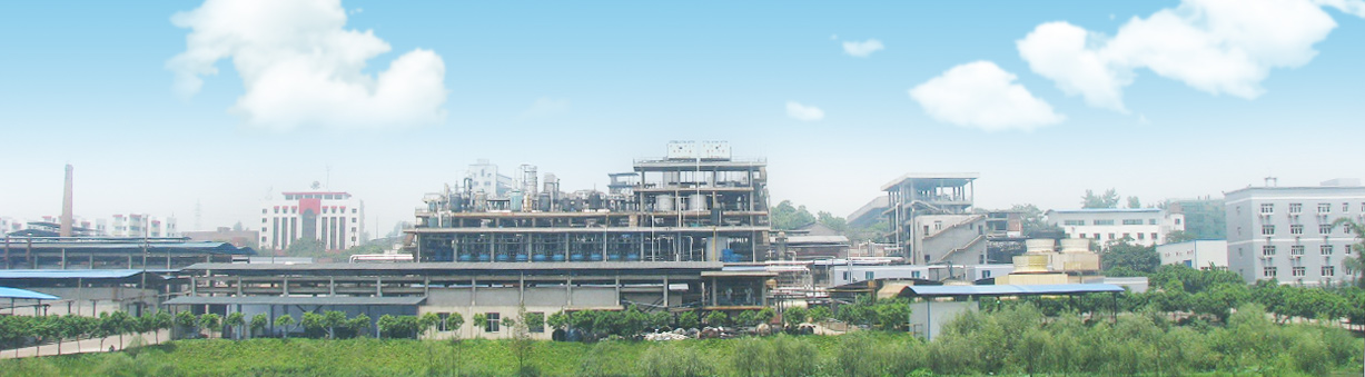 2025新澳门资料免费大全