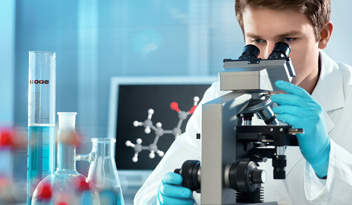 2025新澳门资料免费大全