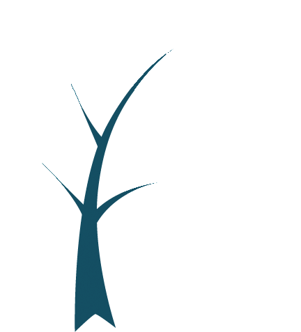 2025新澳门资料免费大全