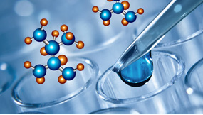 2025新澳门资料免费大全