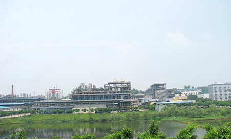 2025新澳门资料免费大全