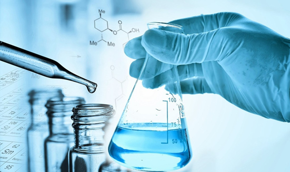 2025新澳门资料免费大全